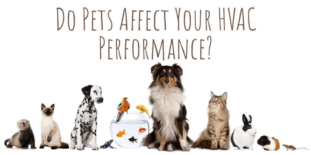 do pets affect your HVAC performance?